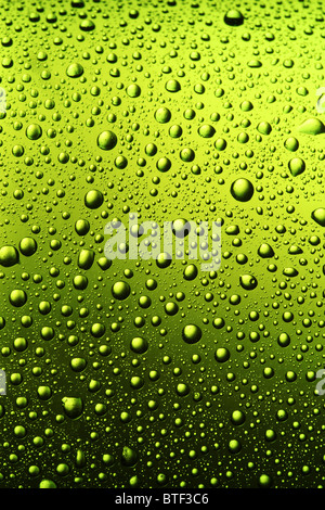 Textur des Wasser tropft auf die Flasche Bier. Stockfoto