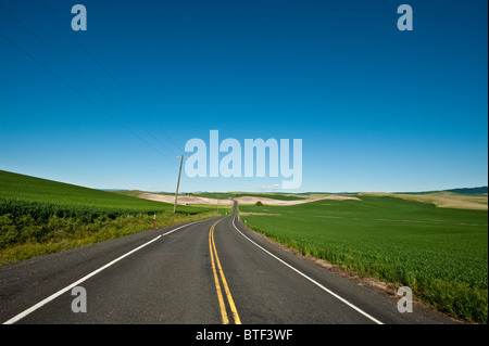 Ein keines und leere Landstraße Stretching in Horizont in der Mitte der Grüne Weizenfeld Stockfoto