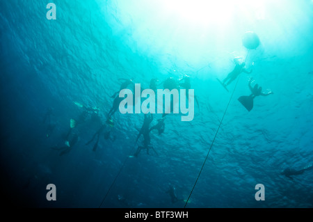 Es gibt einige Unterwasser Silhouetten der Freitaucher, der Zug in die Tiefe des Blue Hole, Rotes Meer, Ägypten Stockfoto