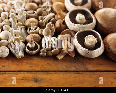 Frisch roh gemischt ganze kultivierte Pilze auf einem rustikalen angeordnet Holztisch Stockfoto