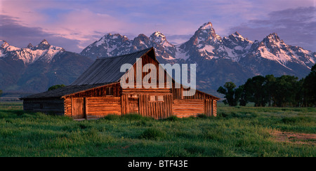 Erstes Licht bei Sonnenaufgang Glasuren die Gipfel hinter der Scheune Moulton an einem Sommermorgen in Grand Teton Nationalpark, Wyoming. Stockfoto