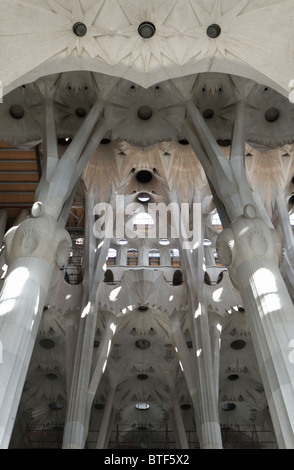 Säulen und Decke auf die Sagrada Familia von Gaudi Stockfoto