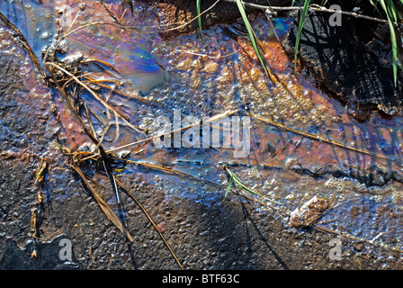 Nahaufnahme von öligen Oberfläche Regenbogen aus umweltschädlichen schäumende Öl-Wasser-Ablauf Stockfoto