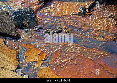Nahaufnahme von öligen Oberfläche Regenbogen aus umweltschädlichen schäumende Öl-Wasser-Ablauf Stockfoto