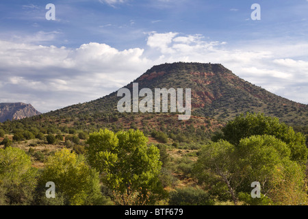 Südwesten der USA Wüste Mesa bewachsen - Arizona USA Stockfoto