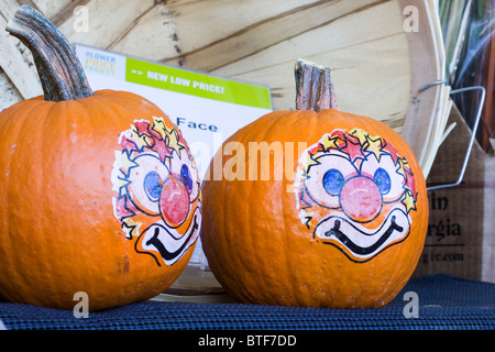 Halloween-Kürbisse zum Verkauf in CT USA Stockfoto