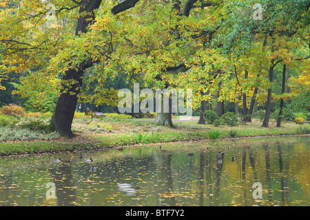 Ruhigen Tranquill ruhiges Wasser und Herbst Farben des Herbstes Stockfoto