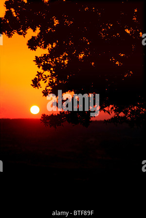 Wenn die Sonne malt Stockfoto