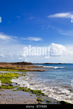 Strand auf der Halbinsel Quiberon Morbihan Bretagne Frankreich Europa Stockfoto