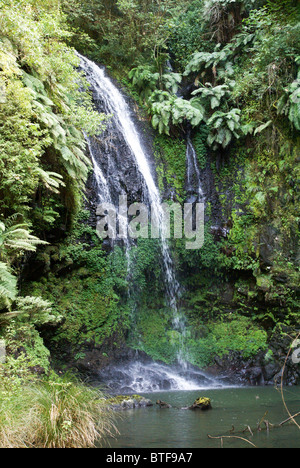 Madagaskar, Amber-Nationalpark. Antankarana Wasserfall Stockfoto