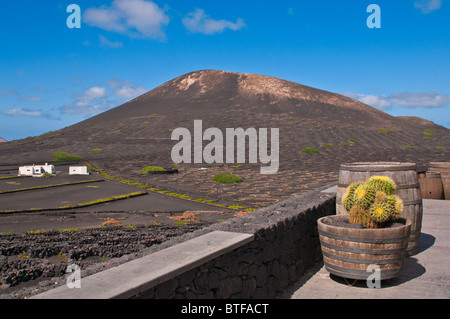 Weinfässer auf Lanzarote Weingütern in La Geria Stockfoto