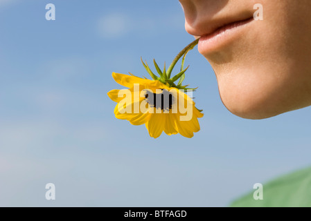 Männliche Beteiligung Blume im Mund Stockfoto