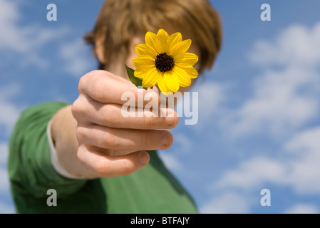 Junge männliche Blüte durchhalten Stockfoto