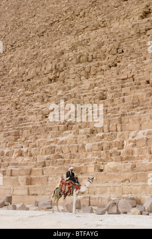 Kamel und Handler stehen vor der Pyramide in Gizeh, Kairo, Ägypten. Stockfoto