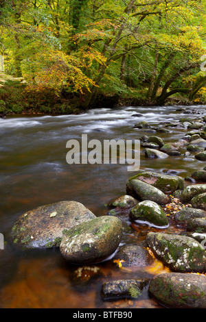 Seichtes Wasser und Felsen im Fluss Dart bei Dartmeet Stockfoto