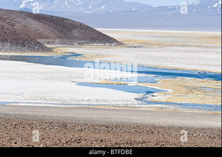 Laguna Santa Rosa in Hochanden 3800 m Höhe den Parque Nacional Nevado Tres Cruces Chiles Region III Atacama in Südamerika Stockfoto