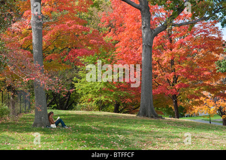 Herbst im Central Park, Oktober 2010 Stockfoto