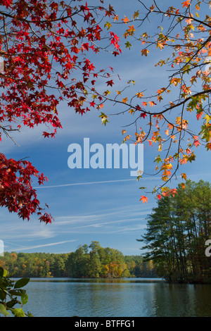 Frühherbst rund um einen See in Georgia, USA. Stockfoto