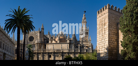 Spanien, Sevilla und La Torre De La Giralda Kathedrale Stockfoto