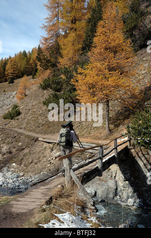 Wanderer in der Val Trupchun, Nationalpark, Graubünden, Schweiz Stockfoto