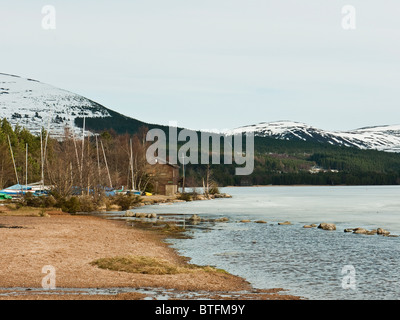 Loch Morlich eingefroren im Winter, in der Nähe von Aviemore, Cairngorms, Schottland, Großbritannien Stockfoto