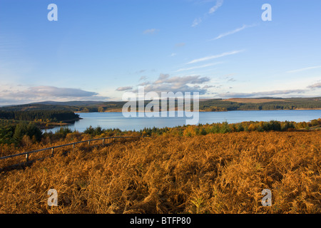 Kielder Wasser im späten Herbst Nachmittagssonne, North Tyne Valley, Northumberland Stockfoto