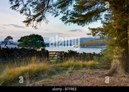 Kielder Wasser im späten Herbst Nachmittagssonne, North Tyne Valley, Northumberland Stockfoto