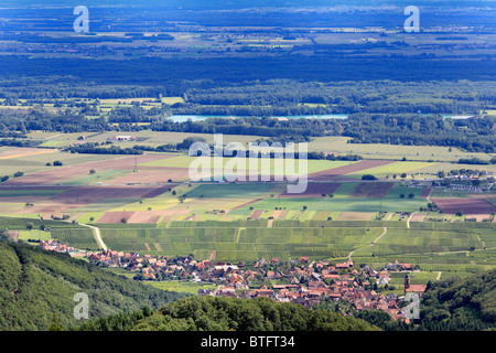 Blick auf die elsässische Ebene, Haut-Koenigsbourg Burg, Orschwiller, Elsass, Frankreich Stockfoto