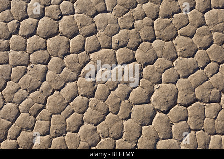 Hexagonalen Muster gebildet in Schwundrissen an den trockenen Seegrund von The Racetrack Playa in Death Valley Nationalpark, Kalifornien, USA. Stockfoto