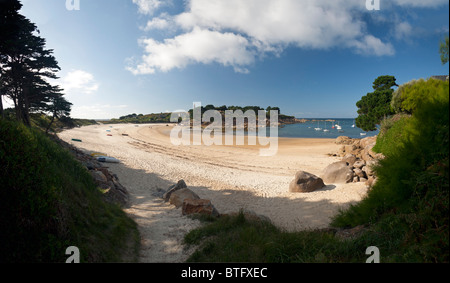 Strand auf Callot Insel in der Bucht von Morlaix (Bretagne - Frankreich). Plage Sur l'Île Callot Dans la Baie de Morlaix (Frankreich). Stockfoto