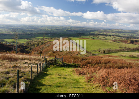 Corndon Hill in der Nähe von Bischofsburg, Shropshire, in die Shropshire Hügel Gebiet von außergewöhnlicher natürlicher Schönheit, England Stockfoto