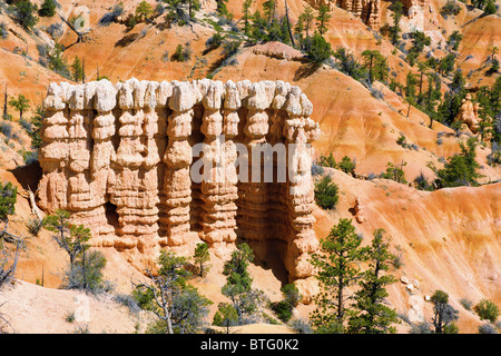 Felsformationen im Bryce Canyon Stockfoto