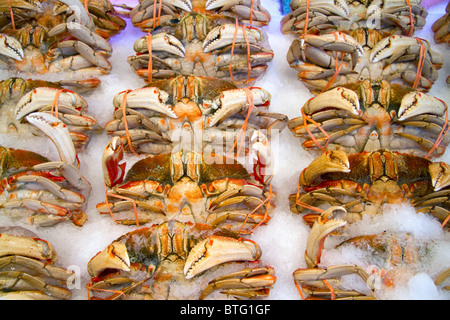 Krabbe am Pike Place Market in Seattle, Washington, USA verkauft werden. Stockfoto