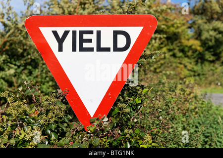 Führen Sie Straßenschild in Irland. Stockfoto