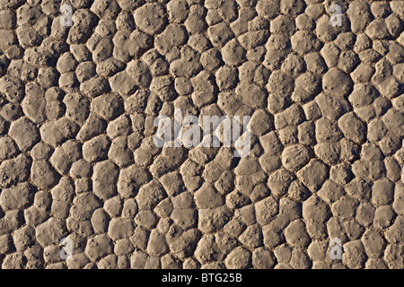 Hexagonalen Muster gebildet in Schwundrissen an den trockenen Seegrund von The Racetrack Playa in Death Valley Nationalpark, Kalifornien, USA. Stockfoto