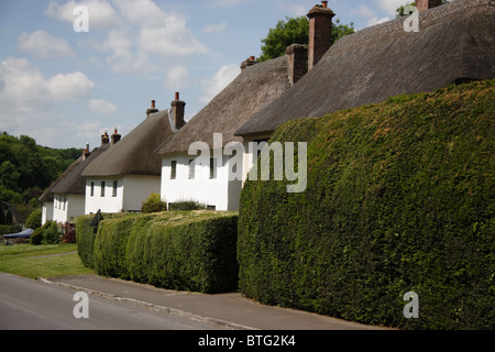 Eine Reihe von reetgedeckten Häusern in Milton Abbas Dorset England Stockfoto