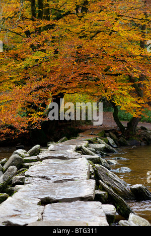 Tarr Steps, eine mittelalterliche Klöppel Brücke über den Fluss Barle im Exmoor National Park, Somerset, Großbritannien Stockfoto