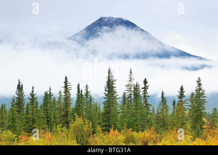 Herbstfarben der Kaskadenkette, eingehüllt in eine Wolke, Vermillion Seen, Banff Nationalpark, Alberta, Kanada. Stockfoto