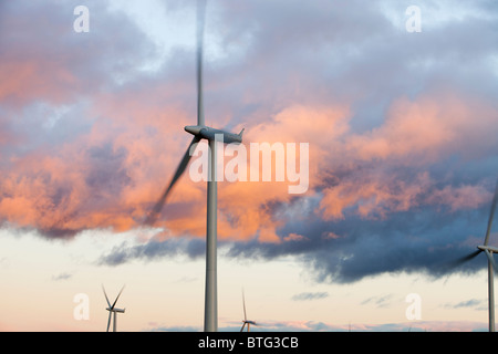 Sonnenuntergang über Whitlee Windpark südlich von Glasgow, Scotland, UK, ist Europas größte onshore-Windpark mit 140 Turbinen. Stockfoto