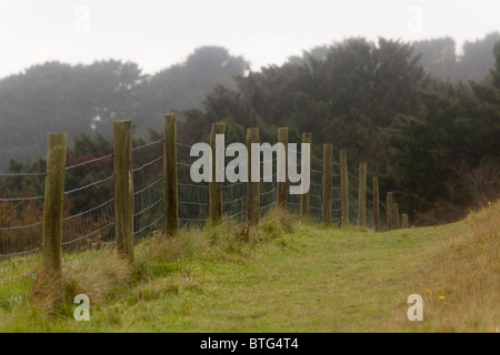 Draht Zäune und Pfosten in Landschaft Stockfoto