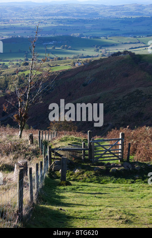 Corndon Hill in der Nähe von Bischofsburg, Shropshire, in die Shropshire Hügel Gebiet von außergewöhnlicher natürlicher Schönheit, England Stockfoto