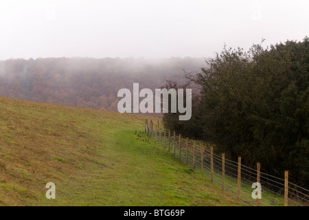 Draht Zäune und Pfosten in Landschaft mit Nebel / low cloud Rollen im Tal Stockfoto