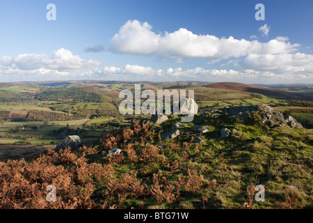 Corndon Hill in der Nähe von Bischofsburg, Shropshire, in die Shropshire Hügel Gebiet von außergewöhnlicher natürlicher Schönheit, England Stockfoto