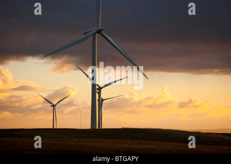 Sonnenuntergang über Whitlee Windpark südlich von Glasgow, Scotland, UK, ist Europas größte onshore-Windpark mit 140 Turbinen. Stockfoto