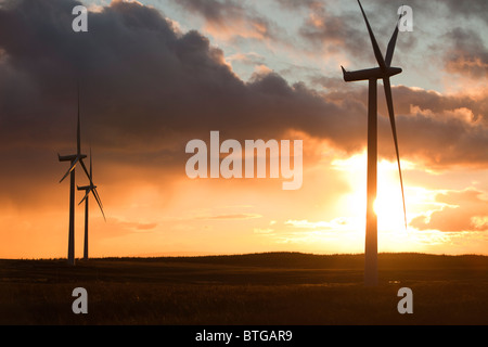 Sonnenuntergang über Whitlee Windpark südlich von Glasgow, Scotland, UK, ist Europas größte onshore-Windpark mit 140 Turbinen. Stockfoto