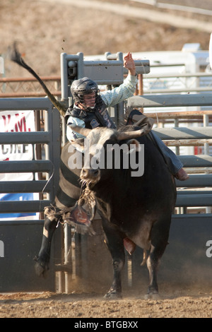 Cowboy Jake Wade konkurriert in der Bull Riding Event im San Dimas Rodeo in San Dimas am 2. Oktober 2010. Stockfoto