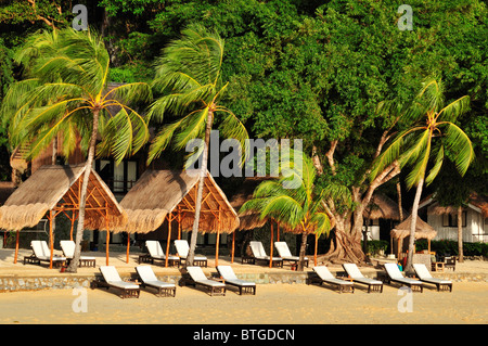 Luxus exotischen Strand mit Palmen Stockfoto