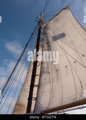 Segelschiff der Appledore Schooner aus Key West in Florida USA Stockfoto