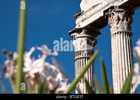 Detail der Tempel des Castor und Pollux. Beispiel für Korinth Hauptstadt. Forum Romanum, Rom Italien Stockfoto