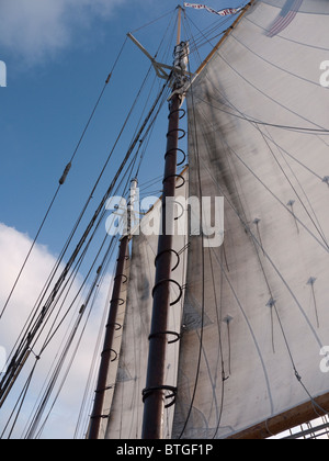 Segelschiff der Appledore Schooner aus Key West in Florida USA Stockfoto